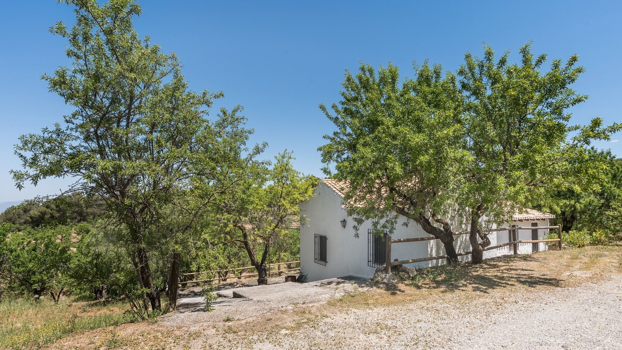 Photo of Outdoor in La Zubia