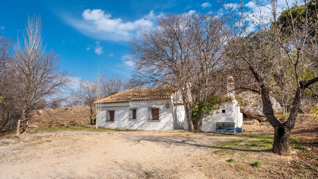 Photo of Outdoor in La Zubia