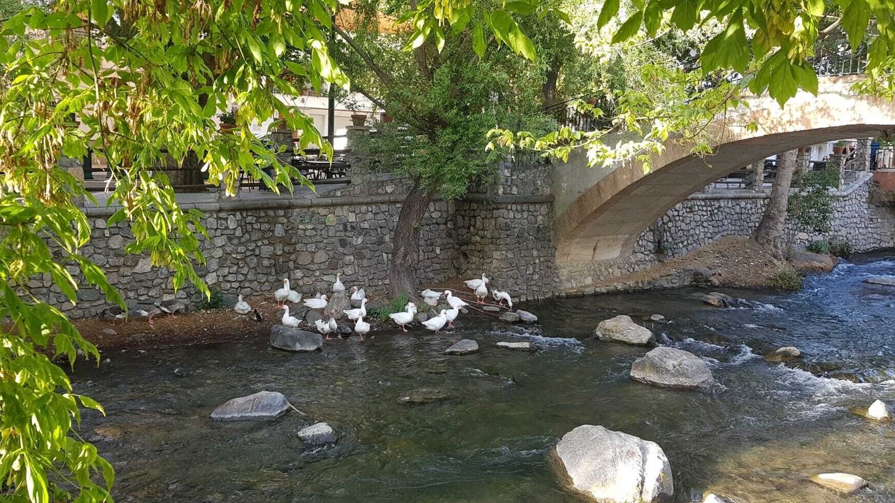Photo of Others in Pinos Genil
