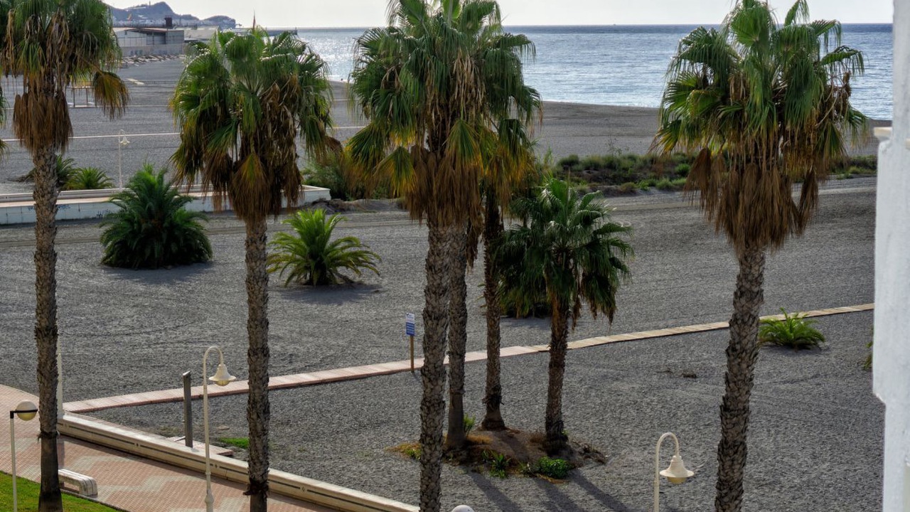 Photo of Others in Playa Granada