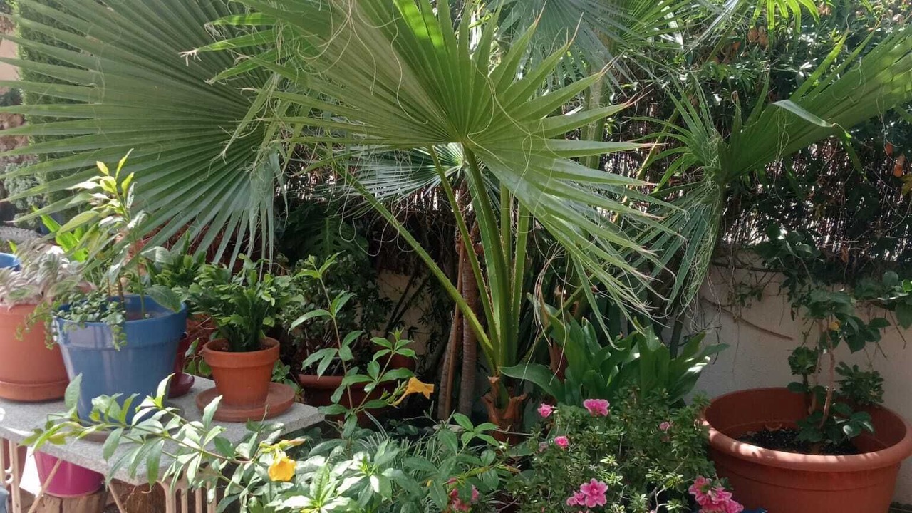 Photo of Outdoor in Cenes de la Vega