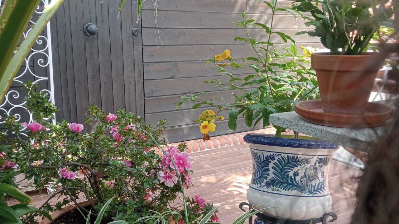 Photo of Outdoor in Cenes de la Vega