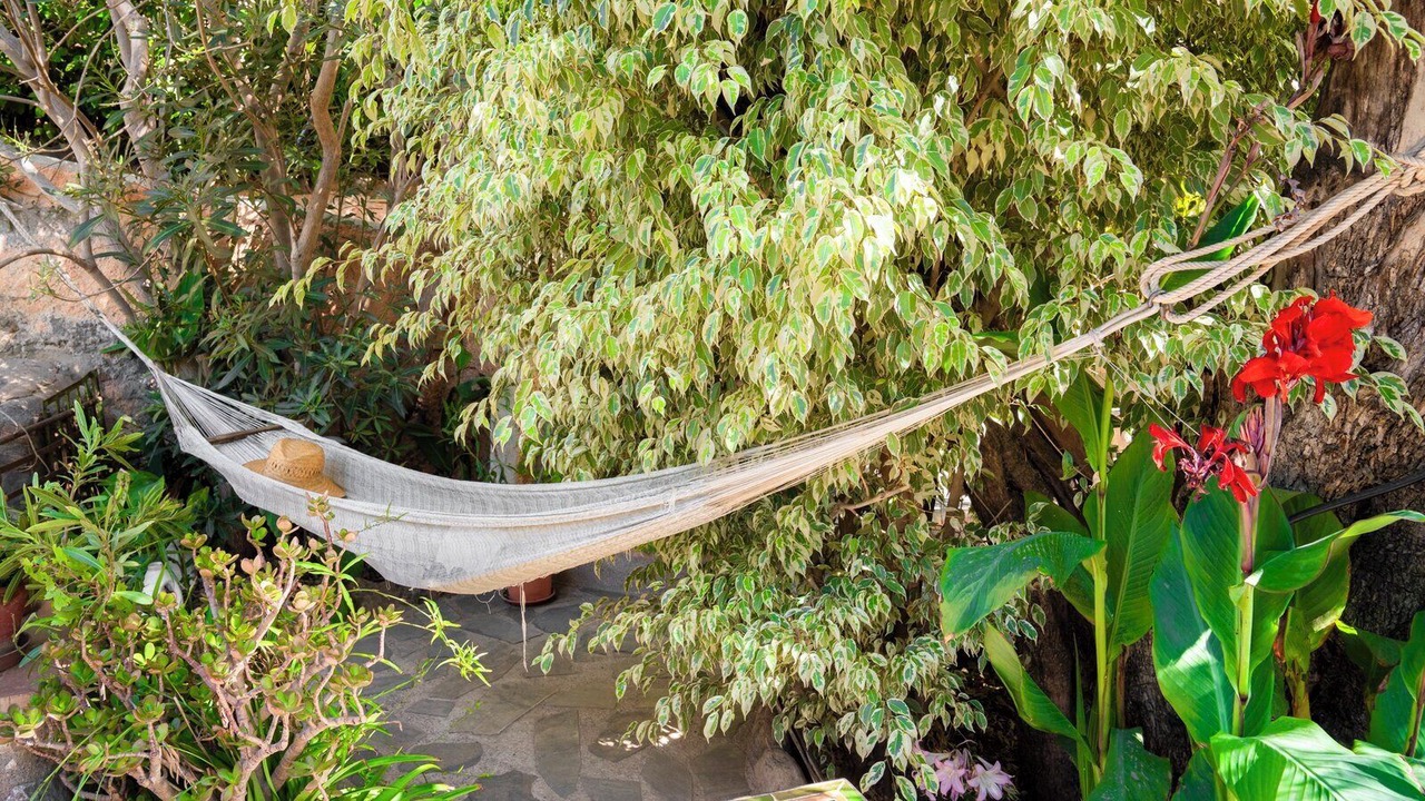 Photo of Outdoor in Agustinos