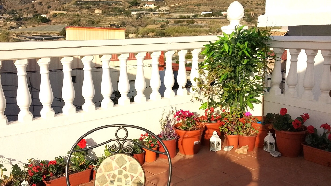 Photo of Outdoor in Albunol