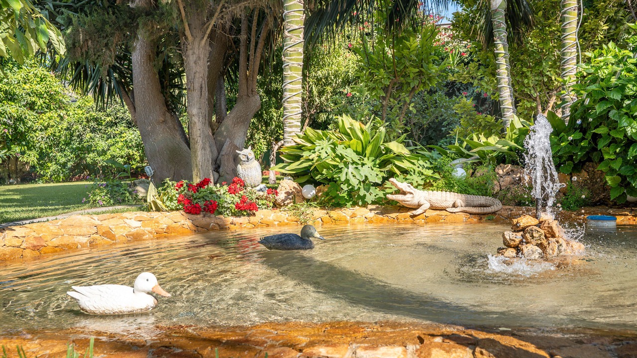 Photo of Outdoor in Motril