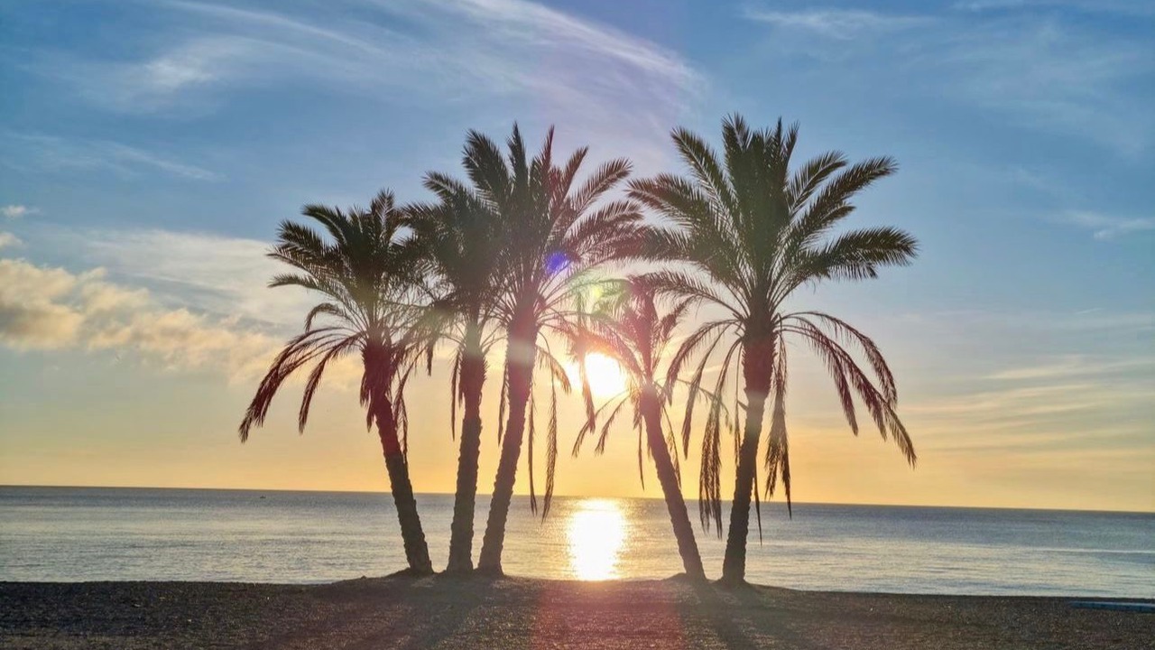 Photo of Others in La Herradura