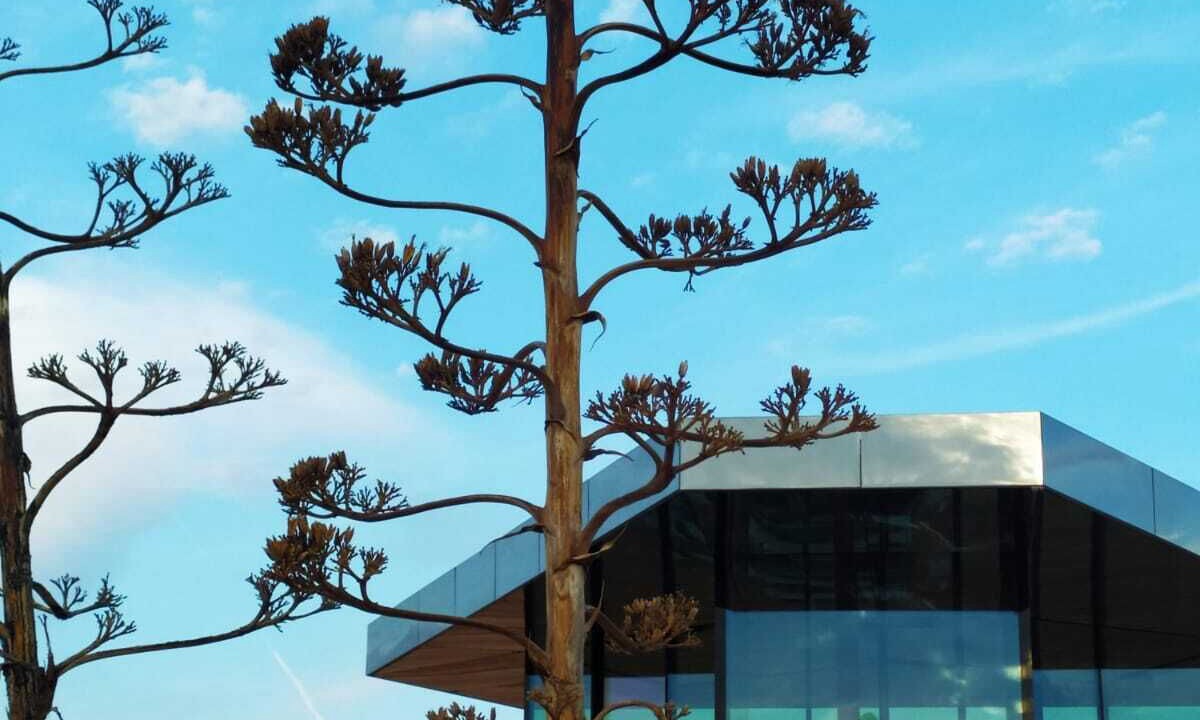 Photo of Outdoor in Gorafe