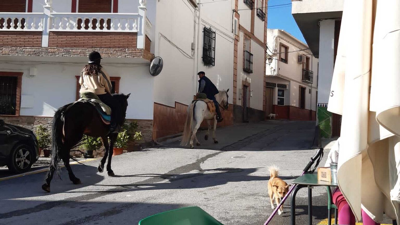 Photo of Outdoor in Albunuelas