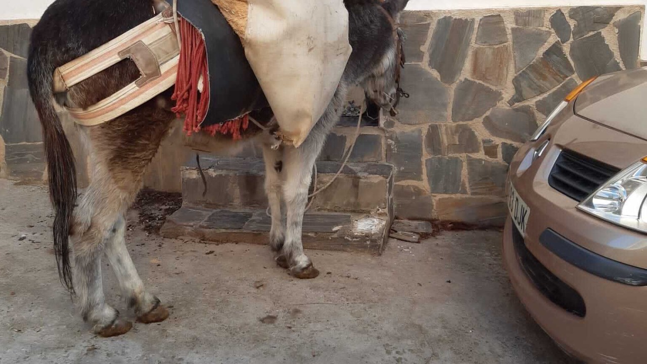 Photo of Others in Albunuelas