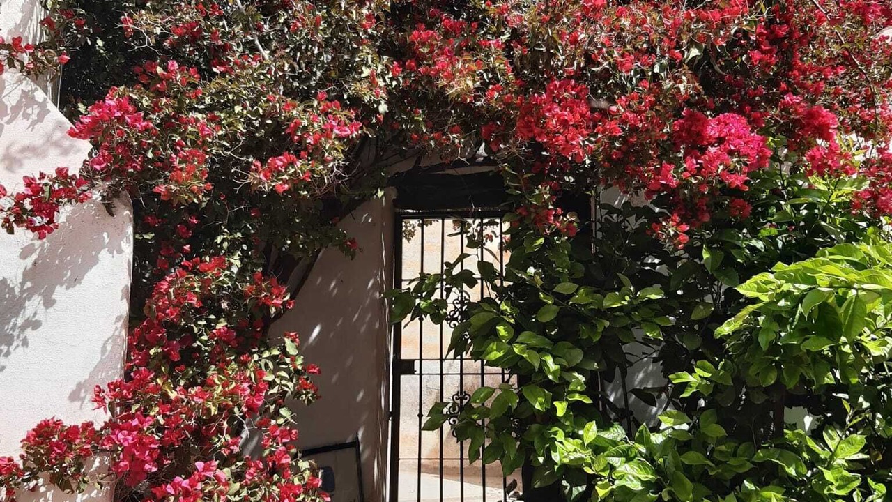 Photo of Outdoor in La Loma