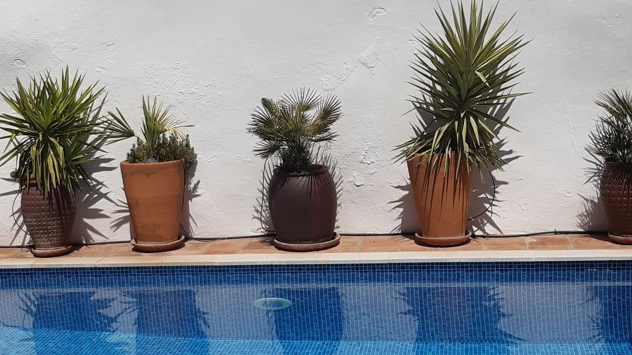 Photo of Outdoor in La Loma