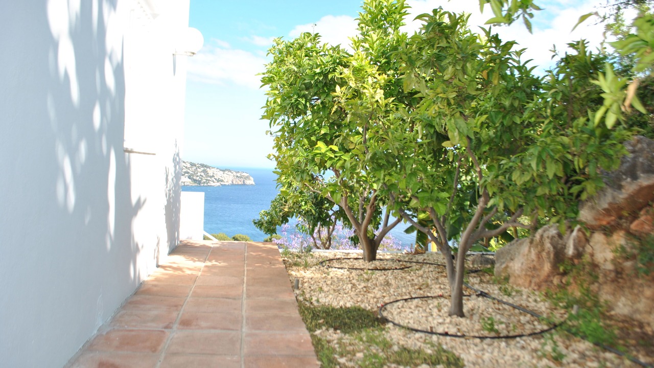 Photo of Outdoor in La Herradura