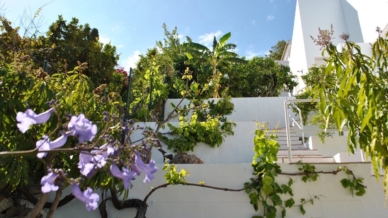 Photo of Outdoor in La Herradura