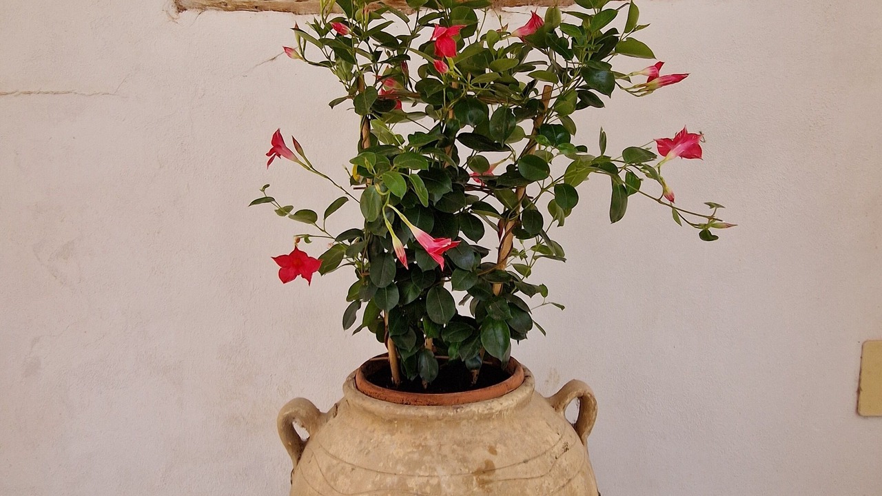 Photo of Outdoor in Venta Micena