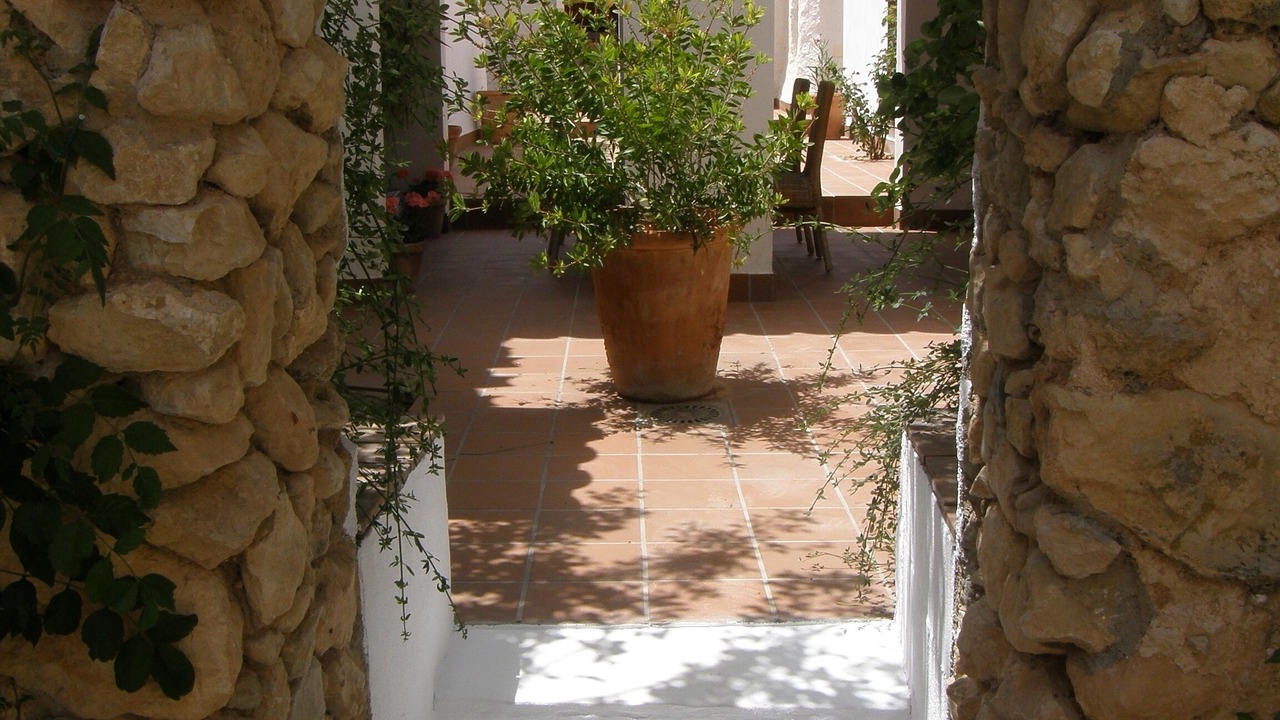 Photo of Others in Venta Micena