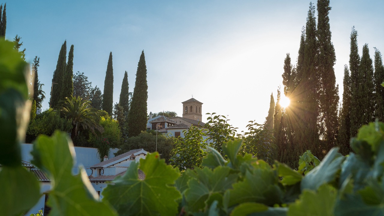 Photo of Others in Sacromonte