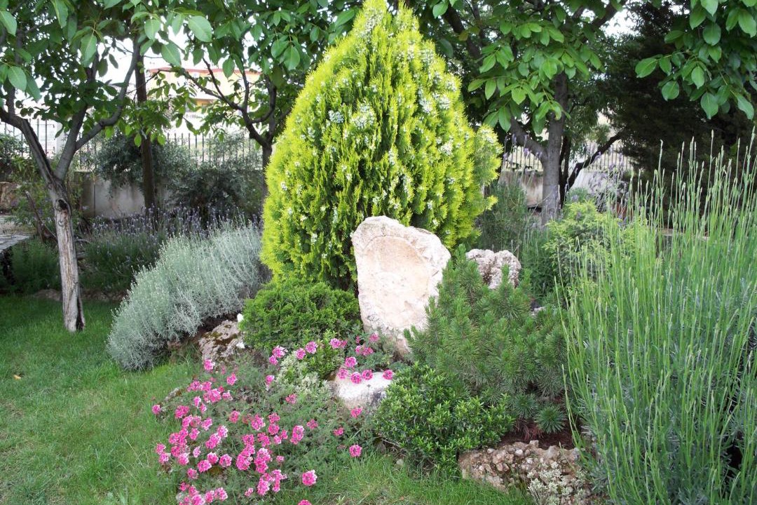 Photo of Outdoor in La Zubia