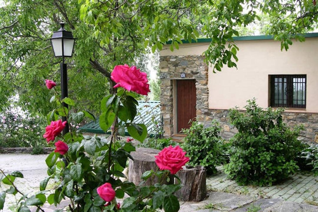 Photo of Others in Guejar Sierra