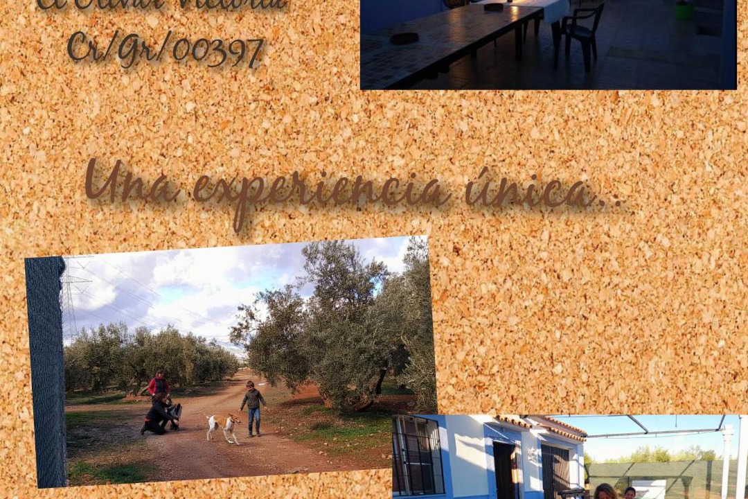 Photo of Others in Cuevas del Campo