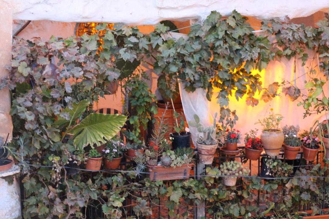 Photo of Others in Atalbeitar