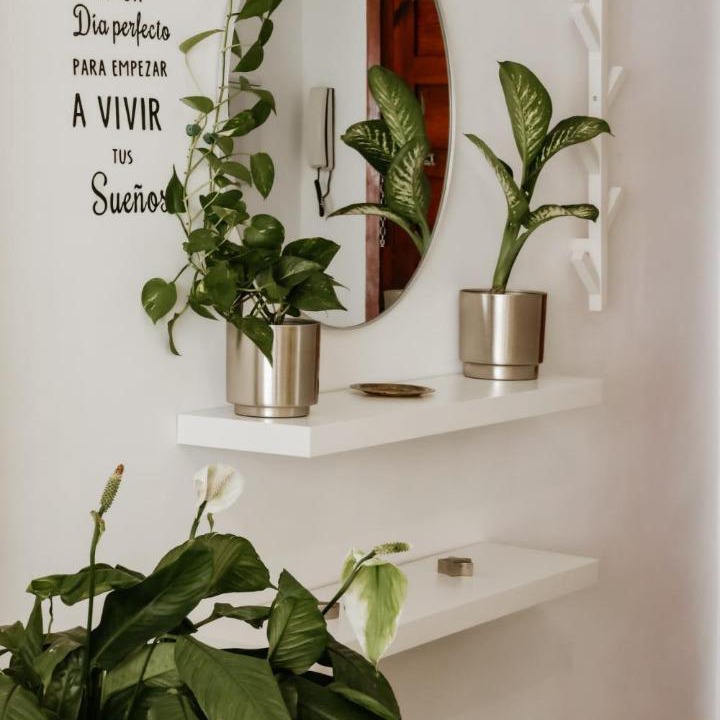 Photo of Bathroom in Motril