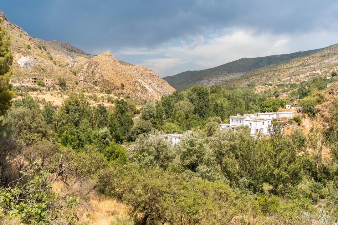 Photo of Others in La Taha