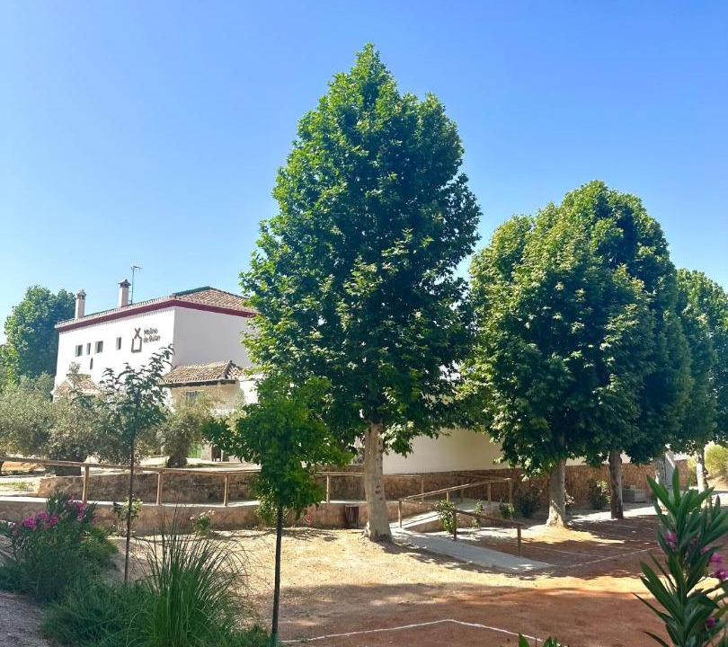 Photo of Others in Pinar