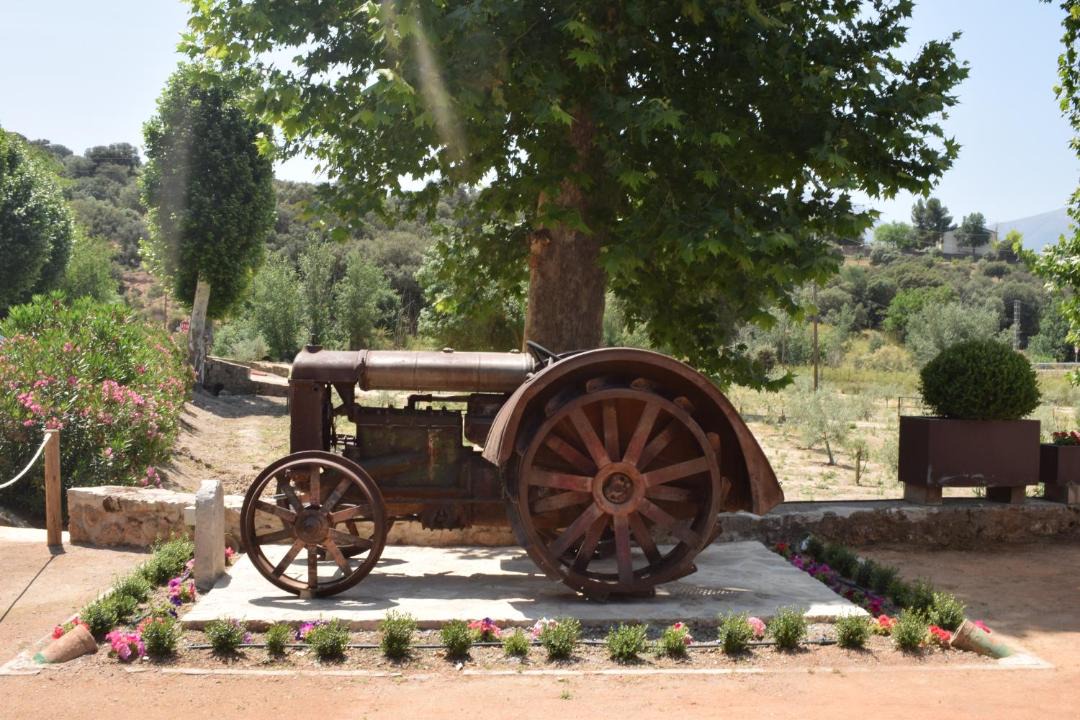 Photo of Others in Pinar