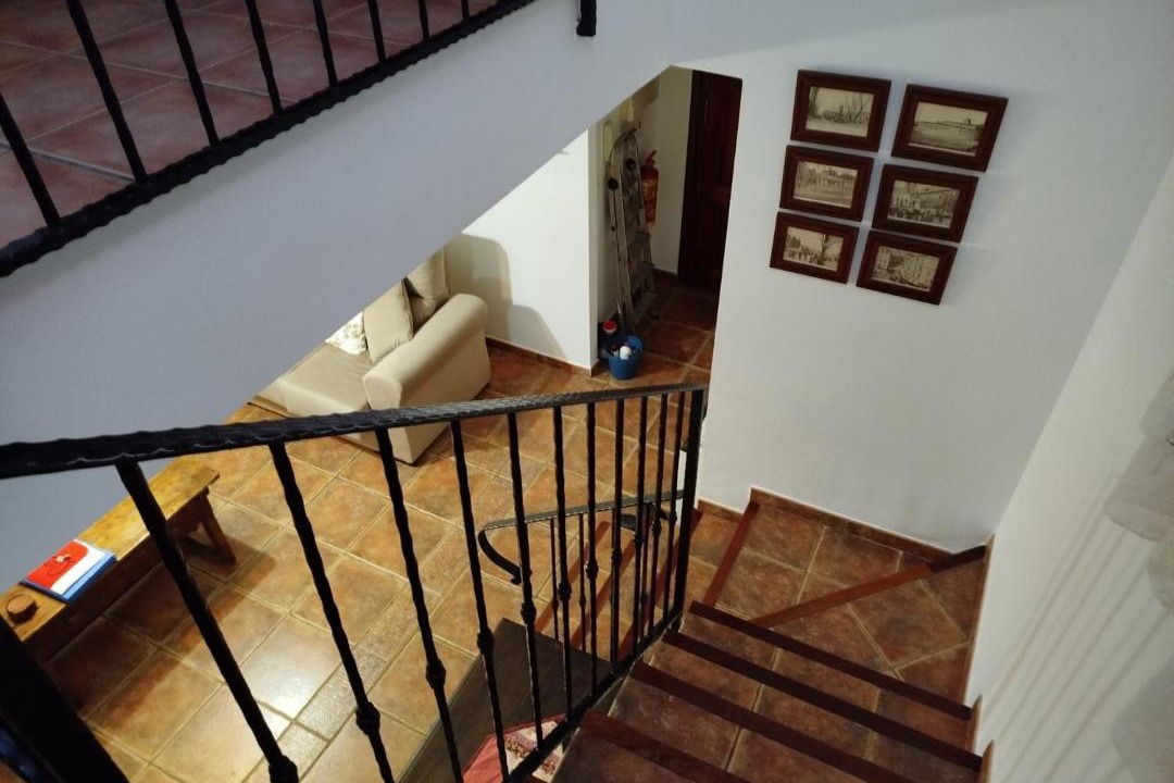 Photo of Others in Peligros