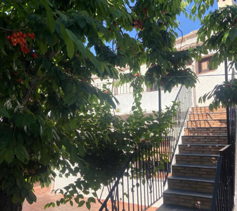 Photo of Others in Capileira