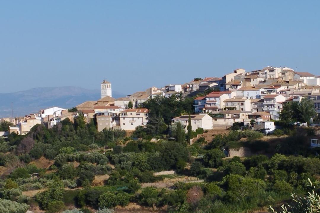Photo of Buildings in Cogollos de la Vega