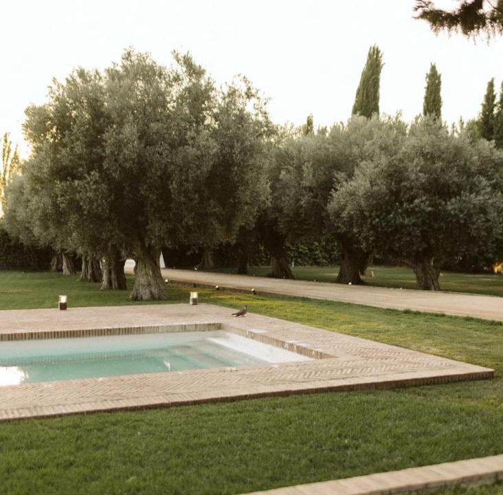 Photo of Others in Granada