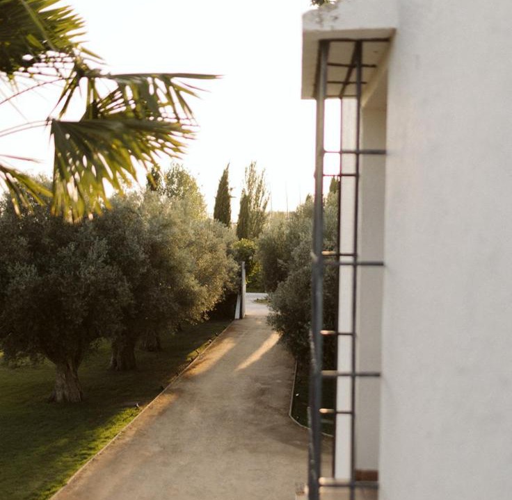 Photo of Others in Granada