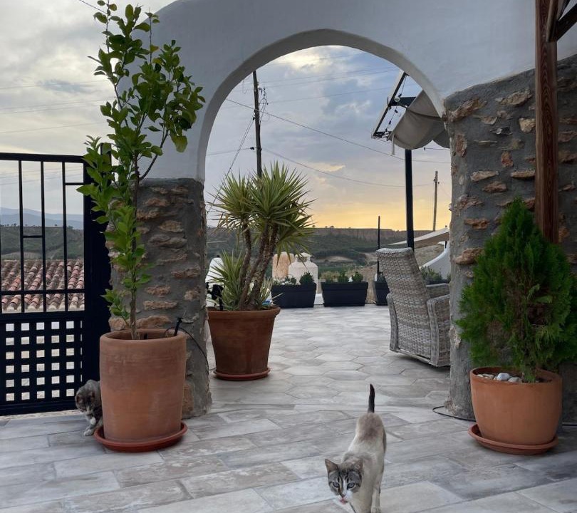 Photo of Patio Balcony in Alcudia de Guadix