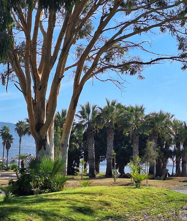 Photo of Others in Playa Granada