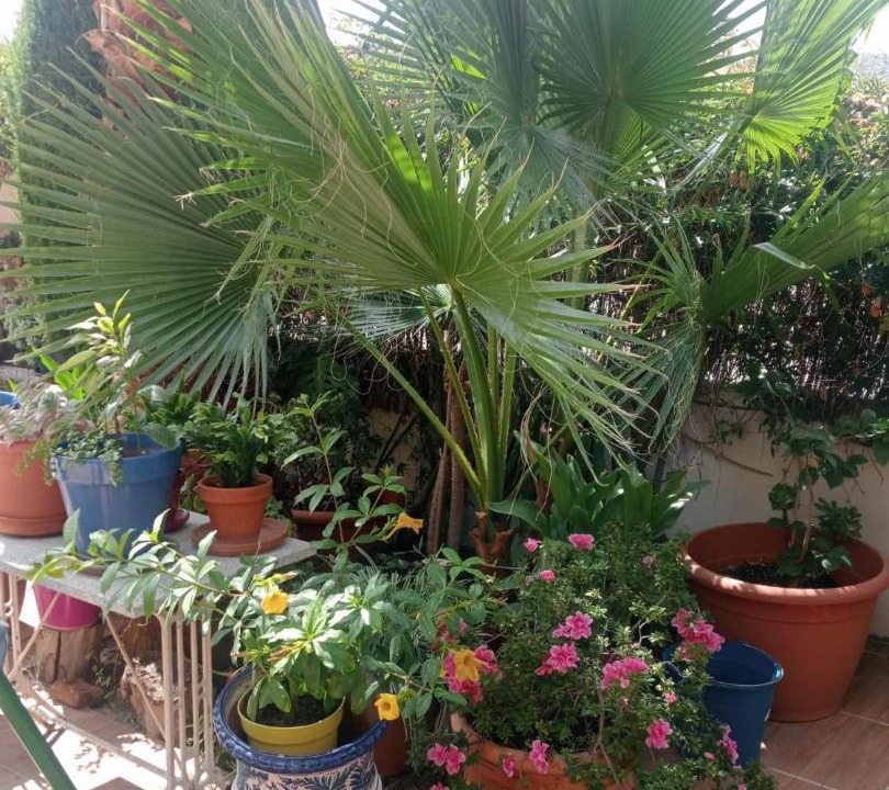 Photo of Patio Balcony in Cenes de la Vega