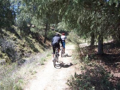 Photo of Others in Alfacar