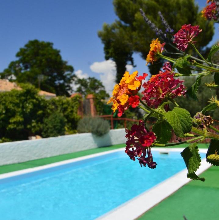 Photo of Others in Algarinejo