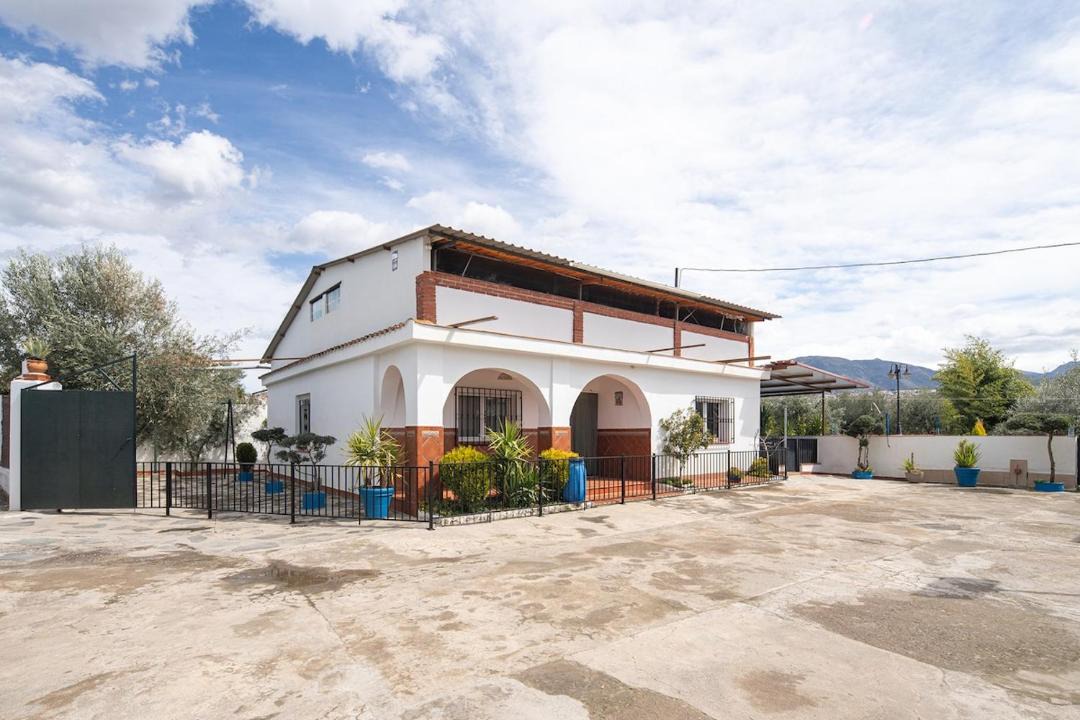 Photo of Others in Granada