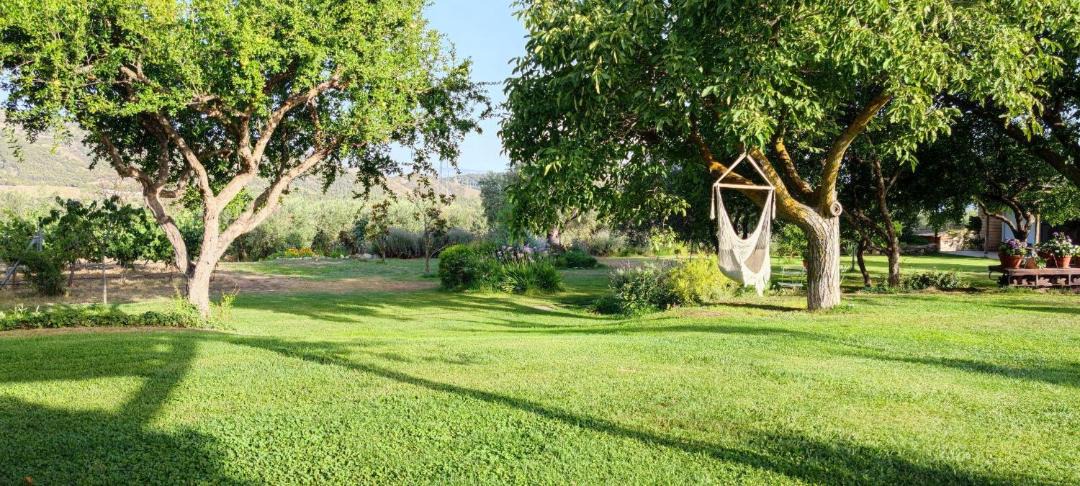 Photo of Outdoor in Niguelas