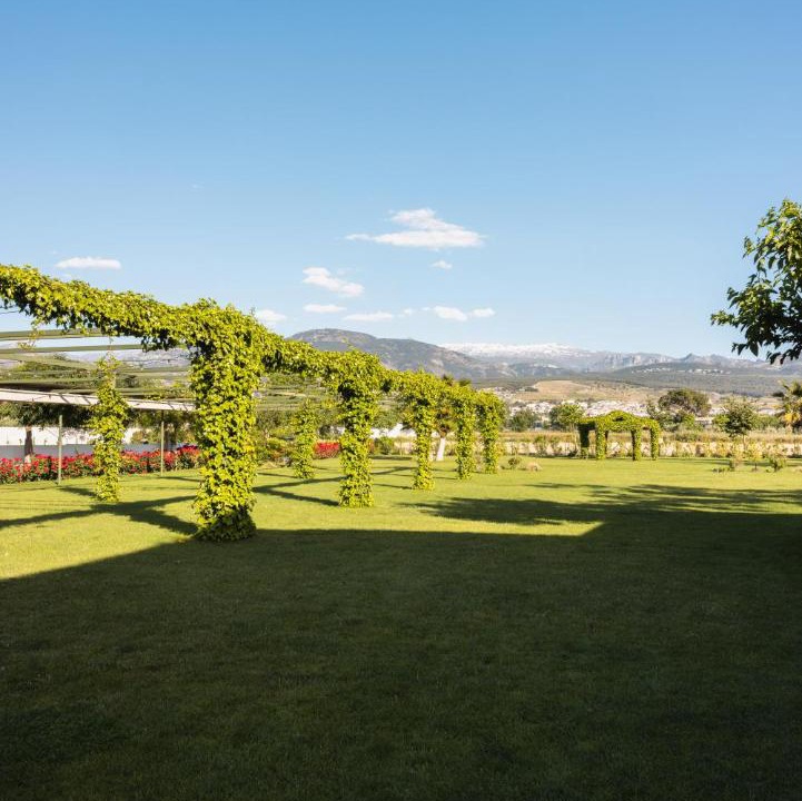 Photo of Others in Granada