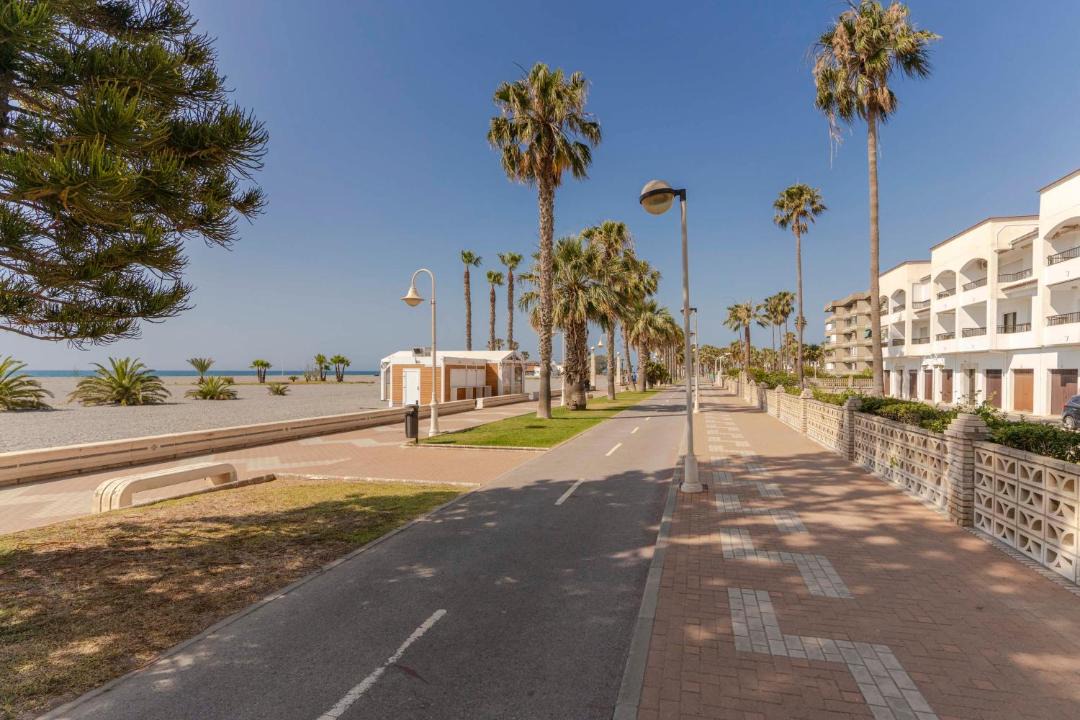 Photo of Others in Playa Granada