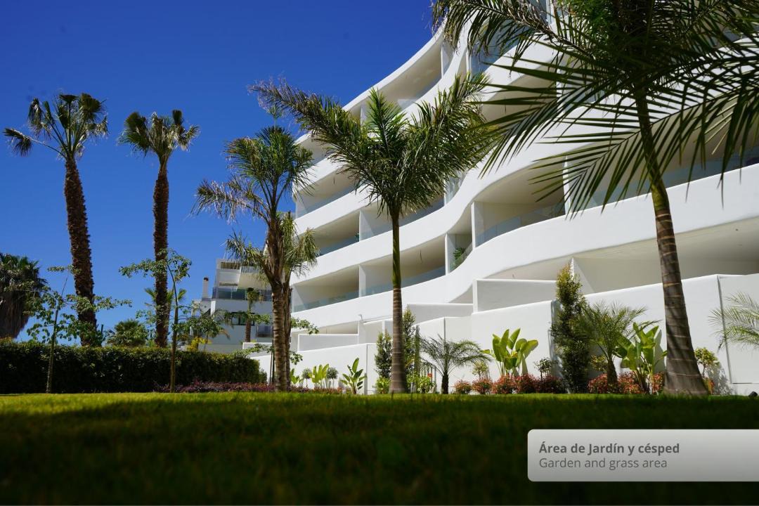 Photo of Others in Motril