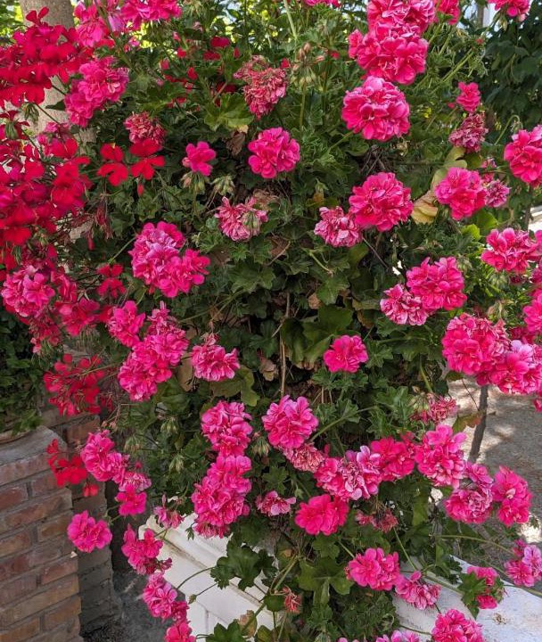 Photo of Outdoor in Murchas