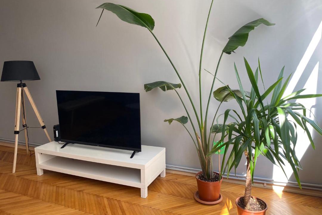 Photo of Livingroom in Nisantasi