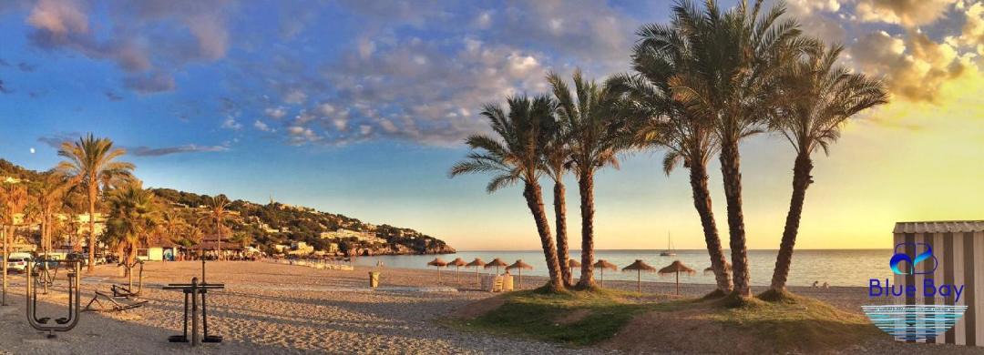 Photo of Others in La Herradura