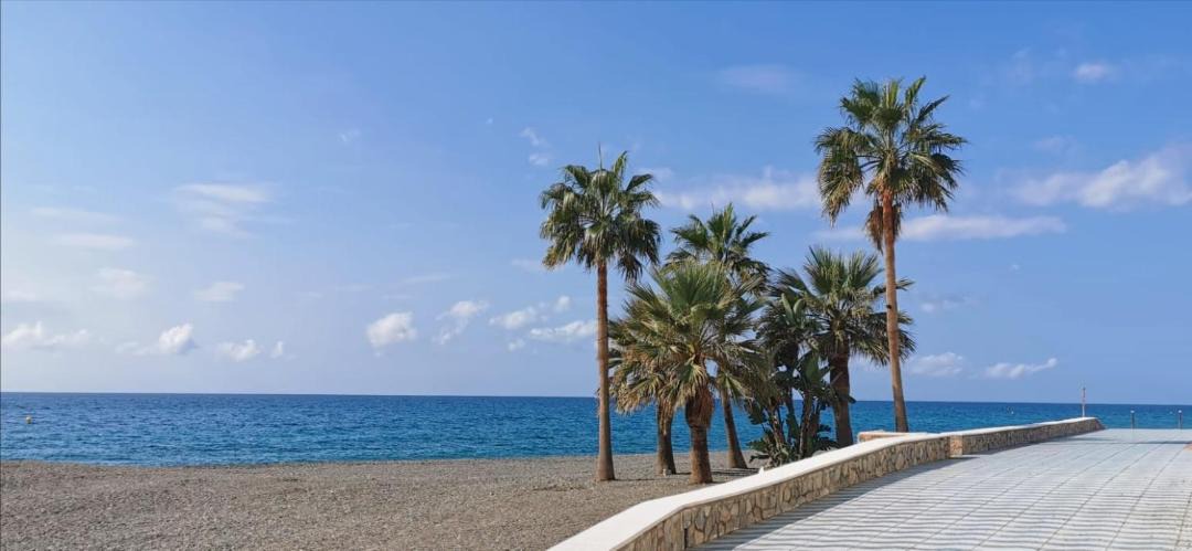 Photo of Others in La Mamola