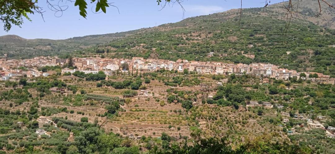 Photo of Buildings in Lanjaron