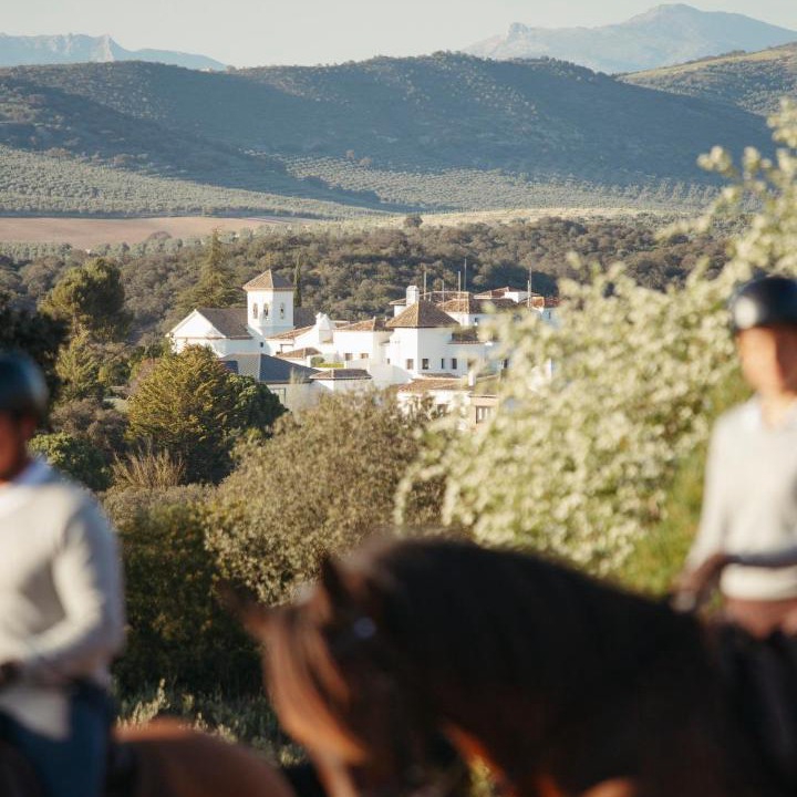 Photo of Others in La Bobadilla