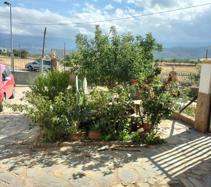 Photo of Others in Cogollos de Guadix